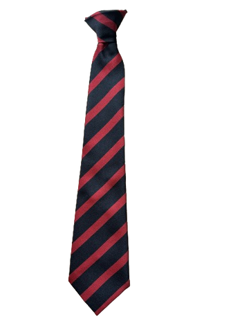 Hebburn Comprehensive Clip on Tie