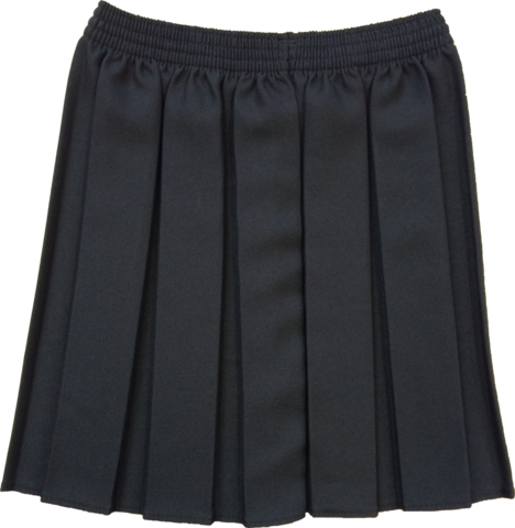 Black Box Pleat Skirt