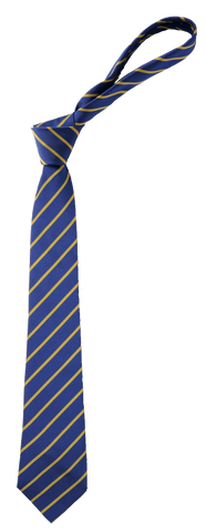 St Joseph's Catholic Academy - Hebburn Royal Blue/Gold Stripe Tie