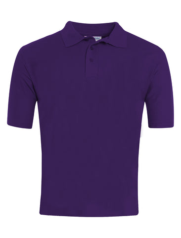 Lord Lawson Of Beamish Academy 6th Form Purple Polo