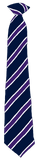 Wellfield School Tie