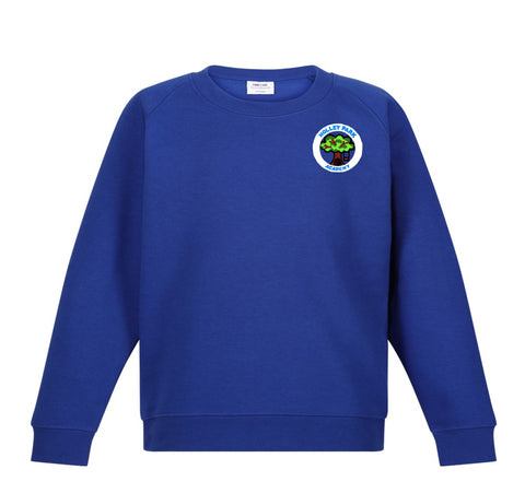 Holley Park Academy Royal Blue Sweatshirt