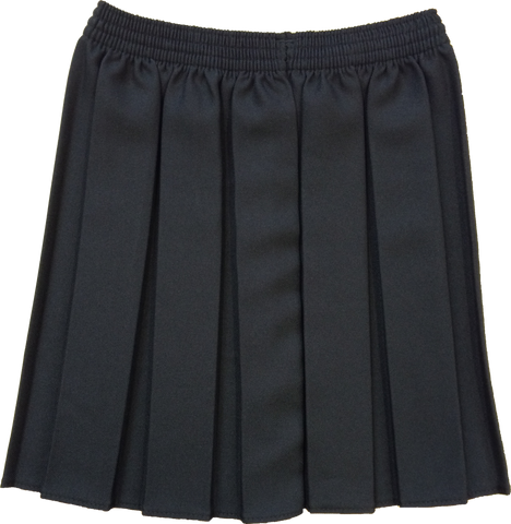 Black Box Pleated Skirt