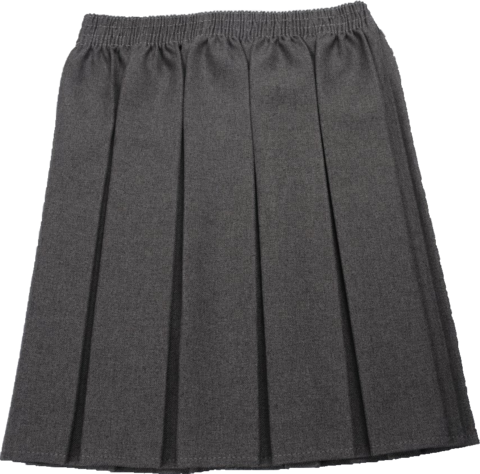Grey Box Pleated Skirt