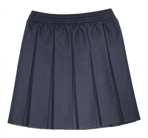 Navy Box Pleated Skirt