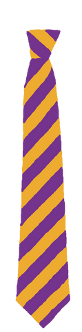 St Joseph's R.C. Primary School - Sunderland Purple/Gold Stripe Elastic Tie (Year 3 - 6)